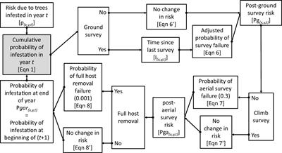 Tracking the push towards extinction: combining dispersal and management data to monitor Asian longhorned beetle eradication in the U.S.